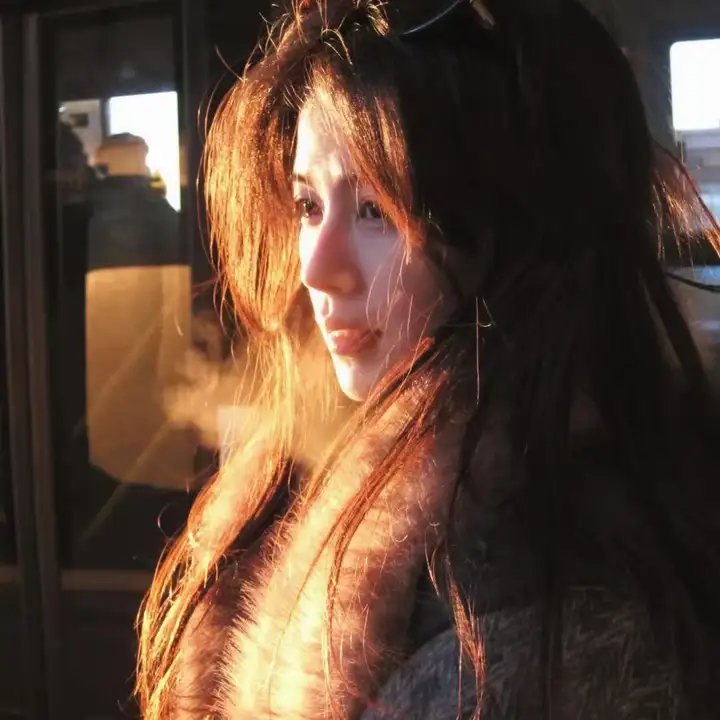 卧虎藏龙2